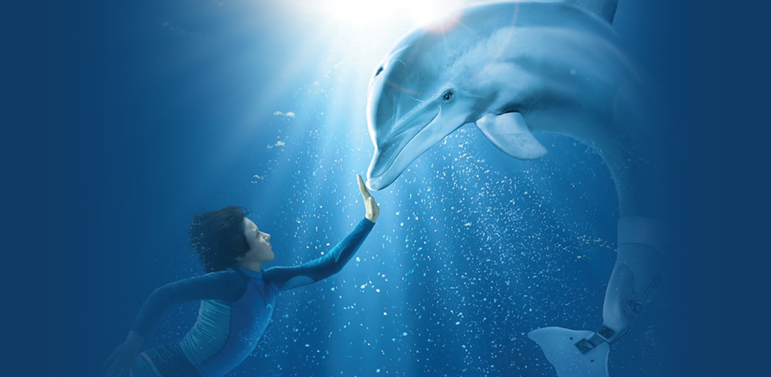 Люди дельфины песня. Dolphin Tale 2011. Дельфины люди моря. Человек Дельфин. Обои с дельфинами.